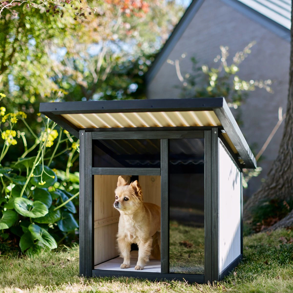 Frisco Modern Wooden Outdoor Dog House