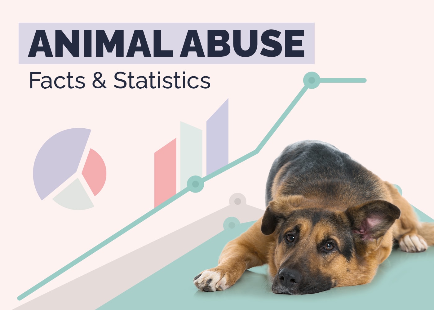 26 Shocking Animal Abuse Statistics & Facts (Updated in 2026)
