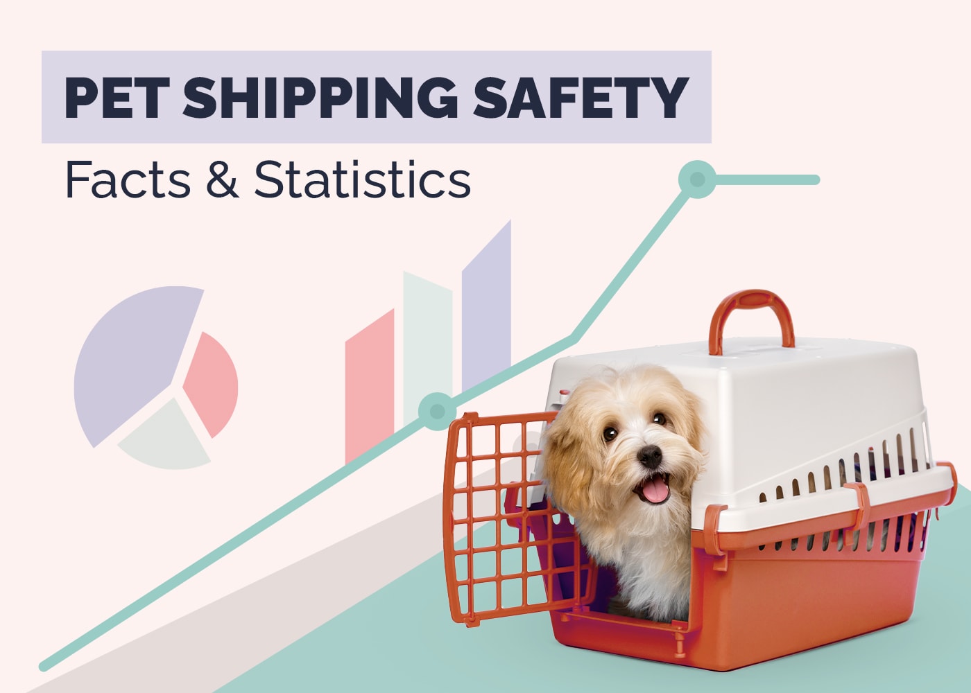 10 Shocking Pet Shipping Safety Statistics: Updated in 2026