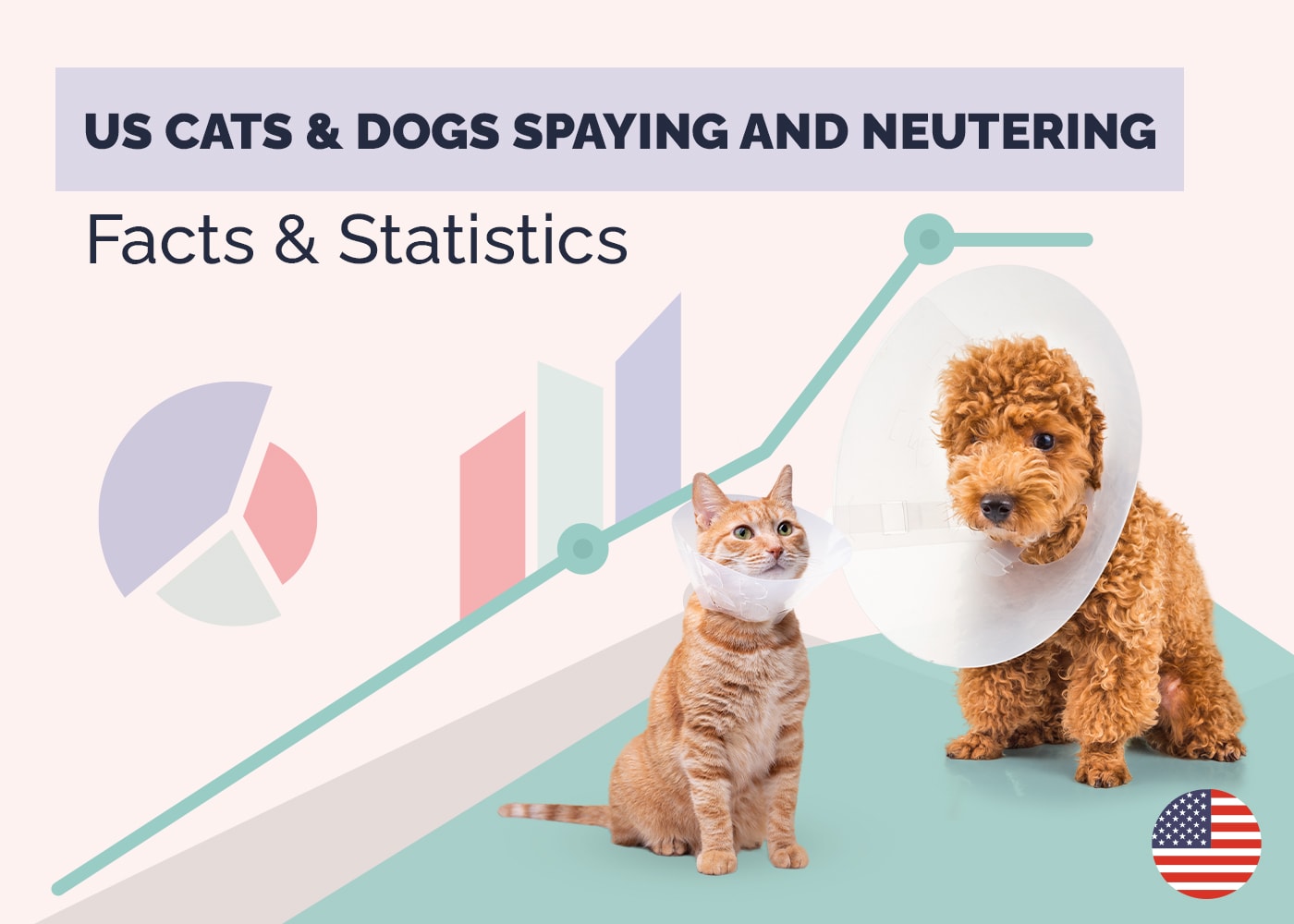 How Many Cats & Dogs Are Spayed & Neutered in the US? Statistics to Know in 2026