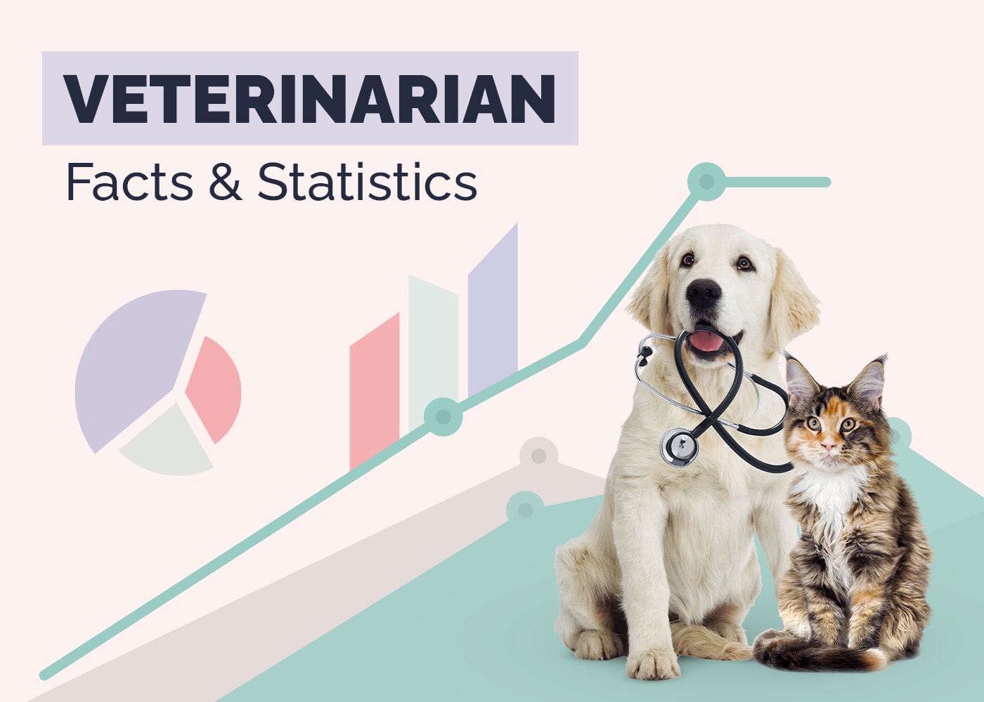 15 Incredible Veterinarian Statistics & Facts: 2026 Update