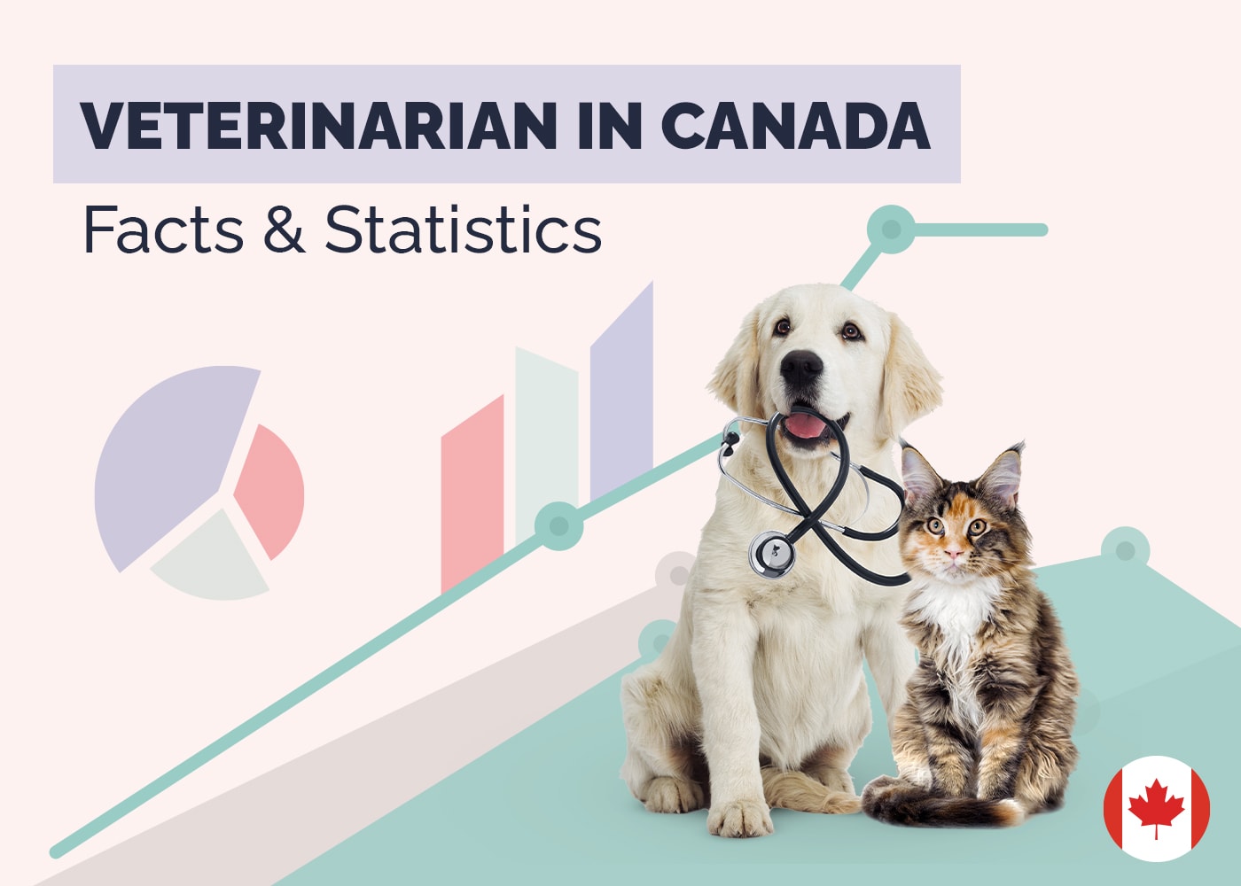 12 Incredible Canadian Veterinarian Statistics & Facts: 2026 Update