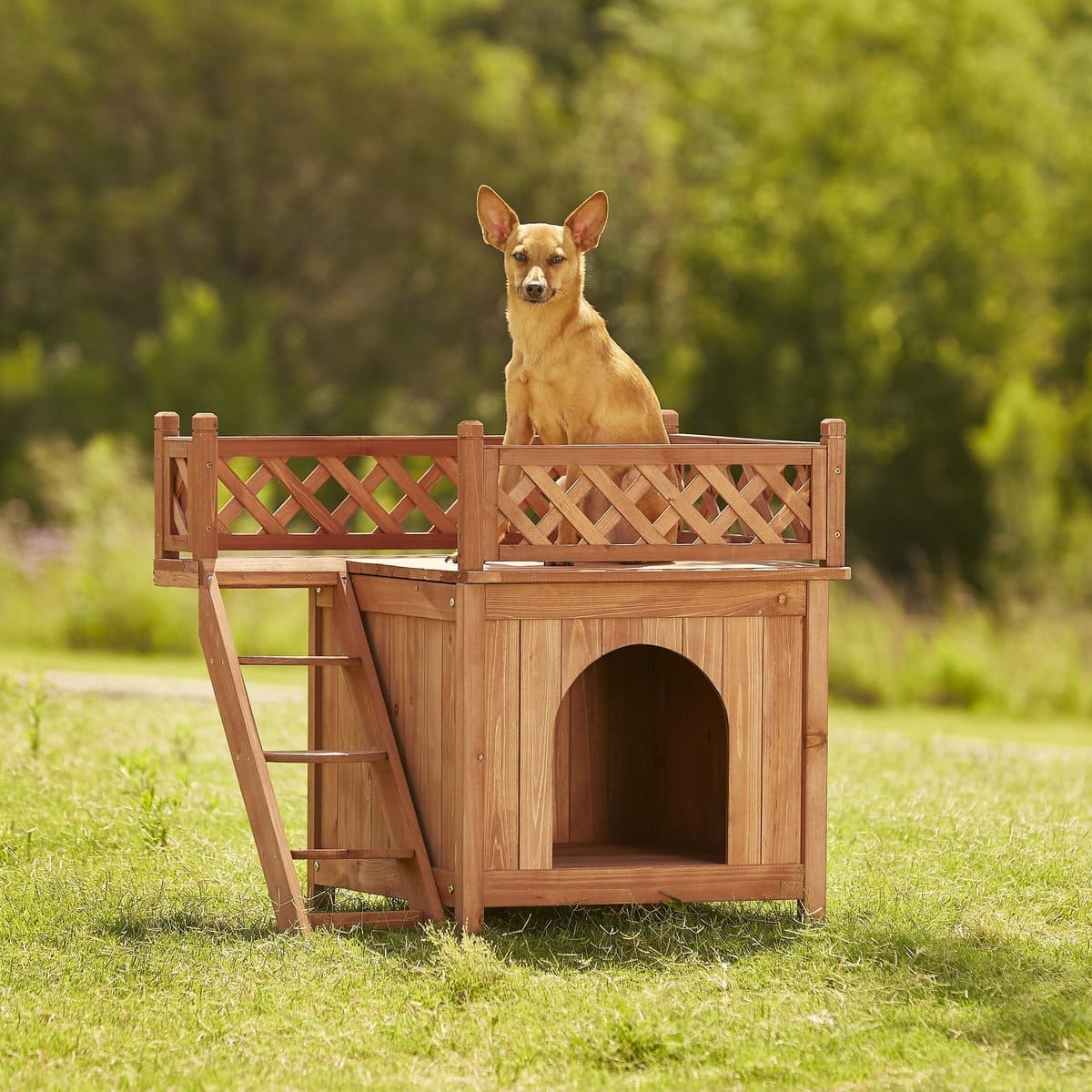 Merry Products Room With a View Wood Dog &amp; Cat House
