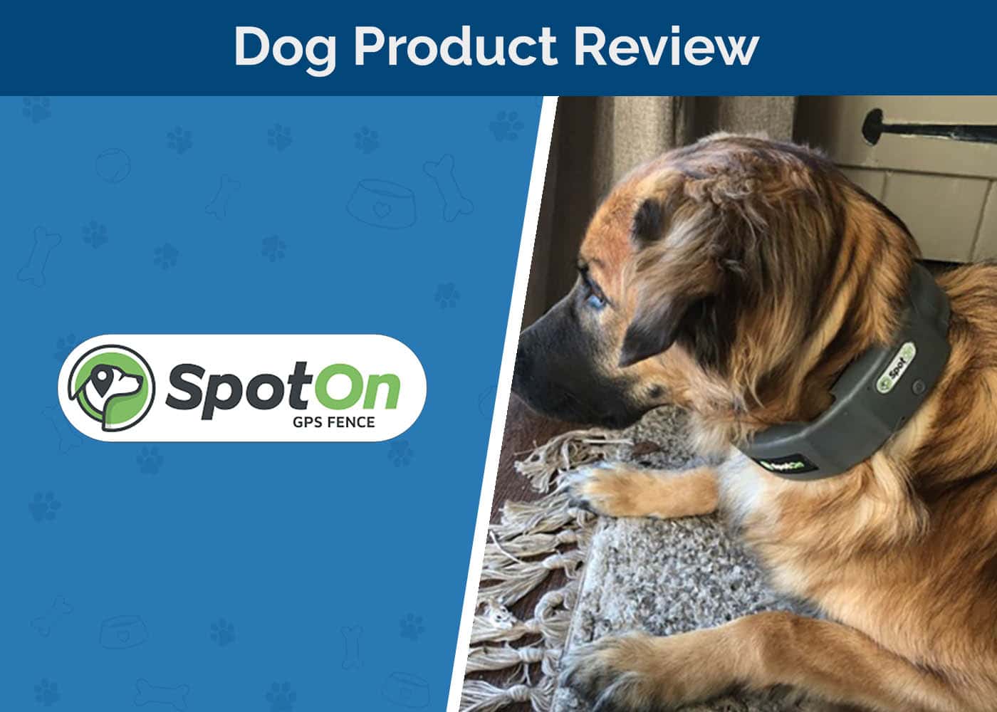 SpotOn GPS Dog Fence Review 2026: An Expert Guide
