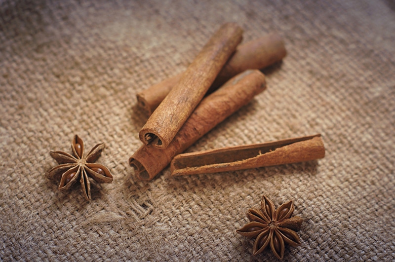 12 Herbs That Are Safe for Dogs (What You Need To Know)