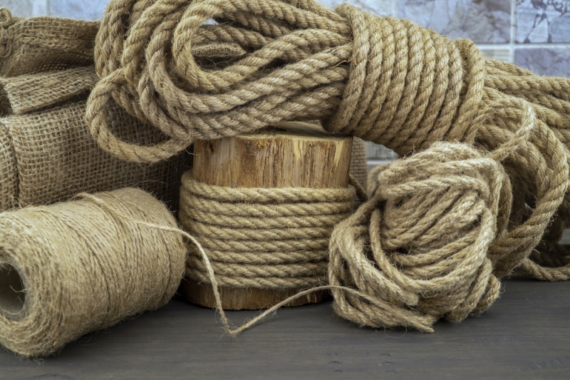 Is Jute Rope Safe for My Cats to Play With? Vet-Approved Safety Guide