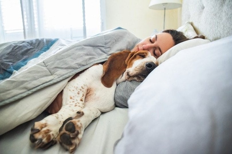 Pros and Cons of Letting Your Pet Sleep With You - Important Considerations