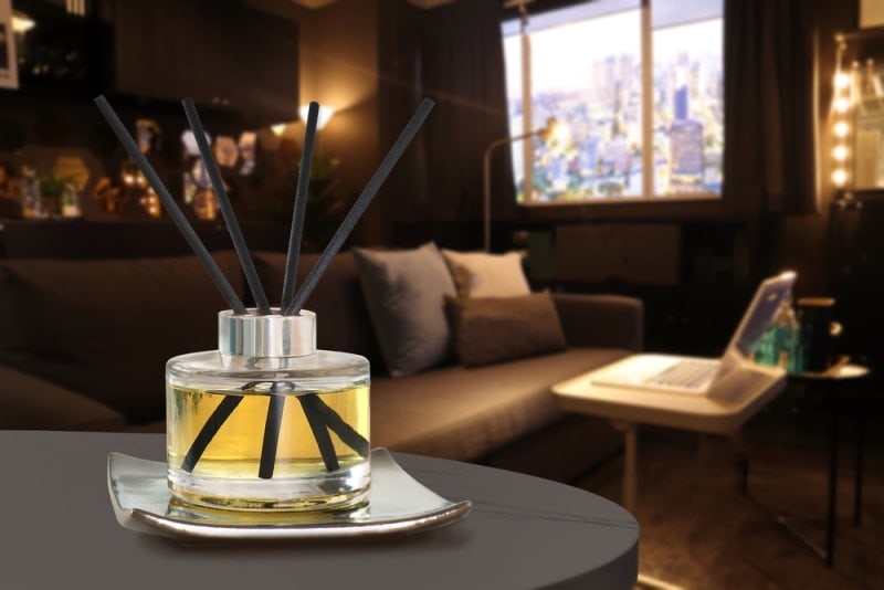Are Reed Diffusers Safe for My Cat? Vet Approved Facts & FAQ