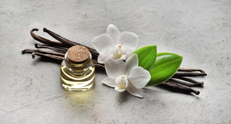 Is Vanilla Essential Oil Safe for My Cat? Vet-Approved Tips & FAQ