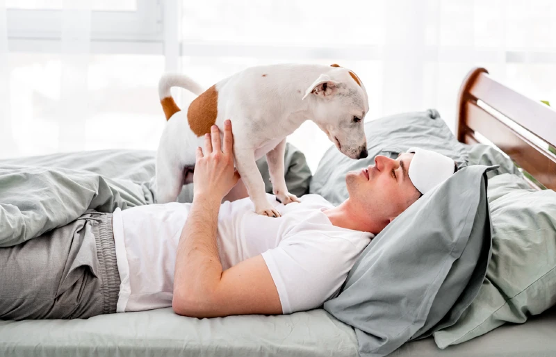 What Do Dogs Do When They Smell Cancer? Facts & Behaviors