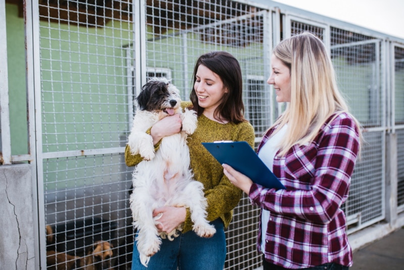 Gotcha Day: What It Is & 10 Ways to Celebrate