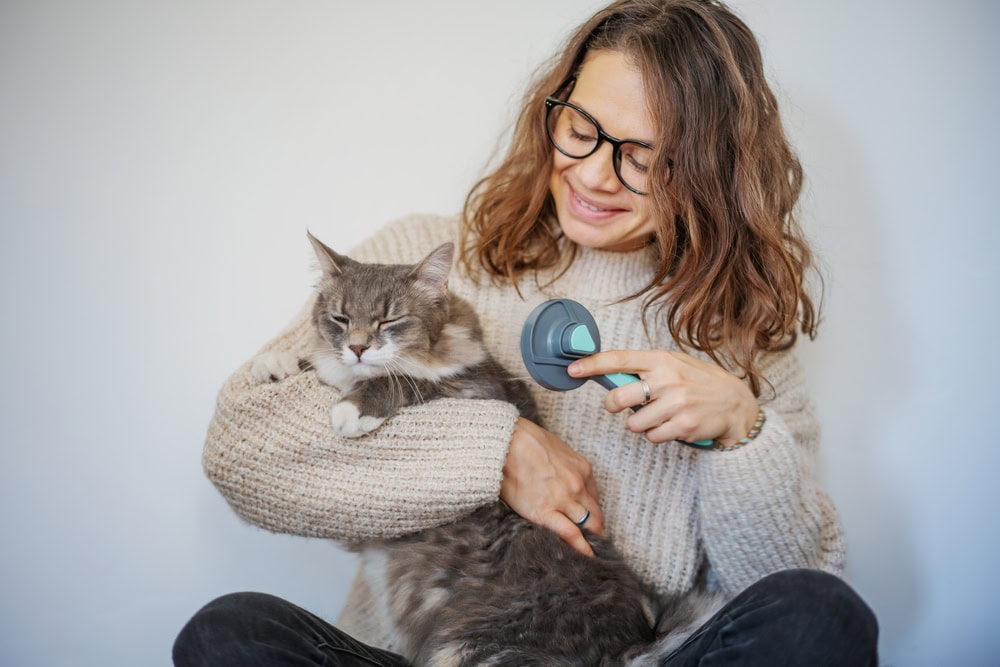 How To Get Cat Poop Out of Fur: 4 Vet-Reviewed Steps