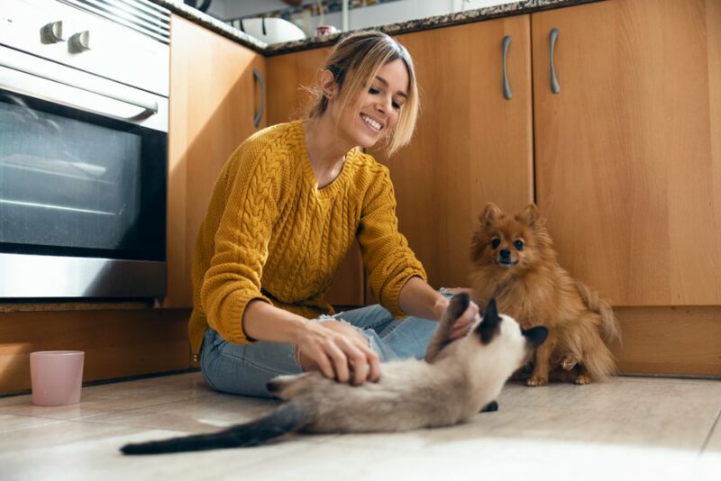 How Do Different Generations Take Care of Their Pets? Statistics, Facts & FAQ