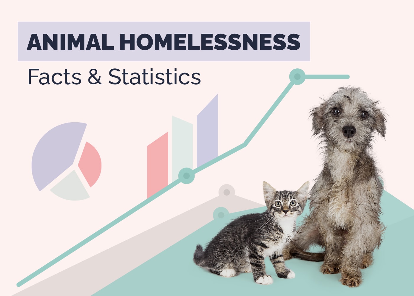 10 Shocking Animal Homelessness Statistics & Facts (2026 Update)