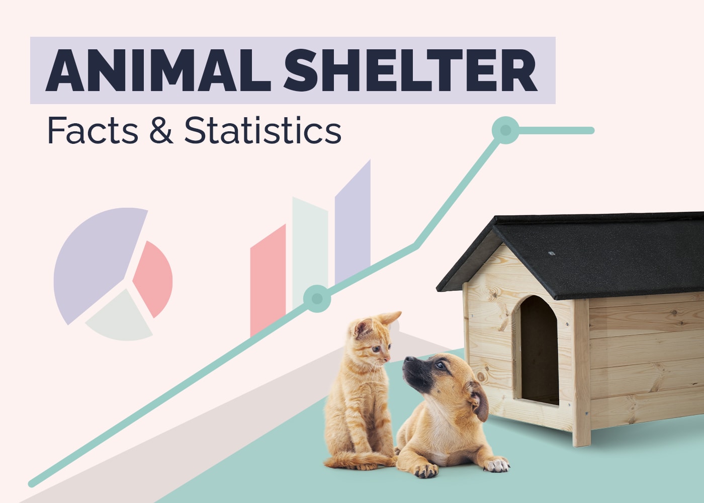 13 Shocking Animal Shelter Statistics & Facts: Updated in 2026