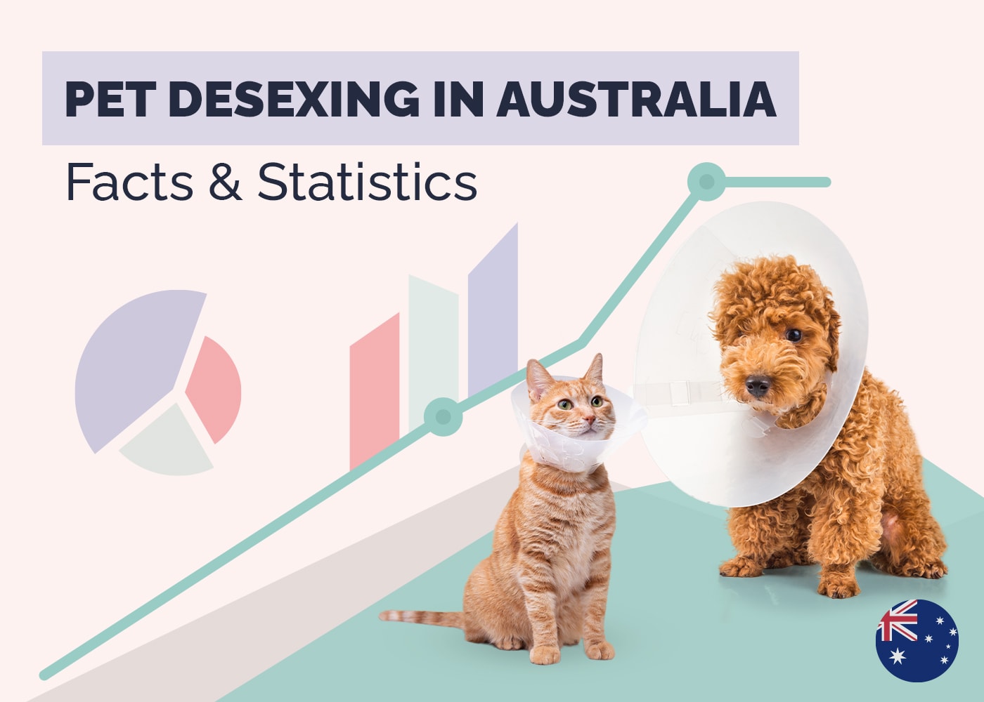 How Many Cats and Dogs are Spayed & Neutered in Australia? 10 Statistics to Know in 2026