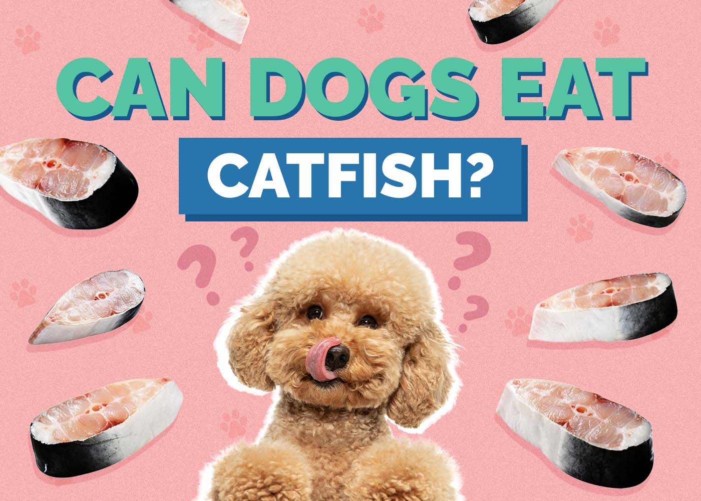 Can Dogs Eat Catfish? Vet Approved Nutritional Facts & FAQ