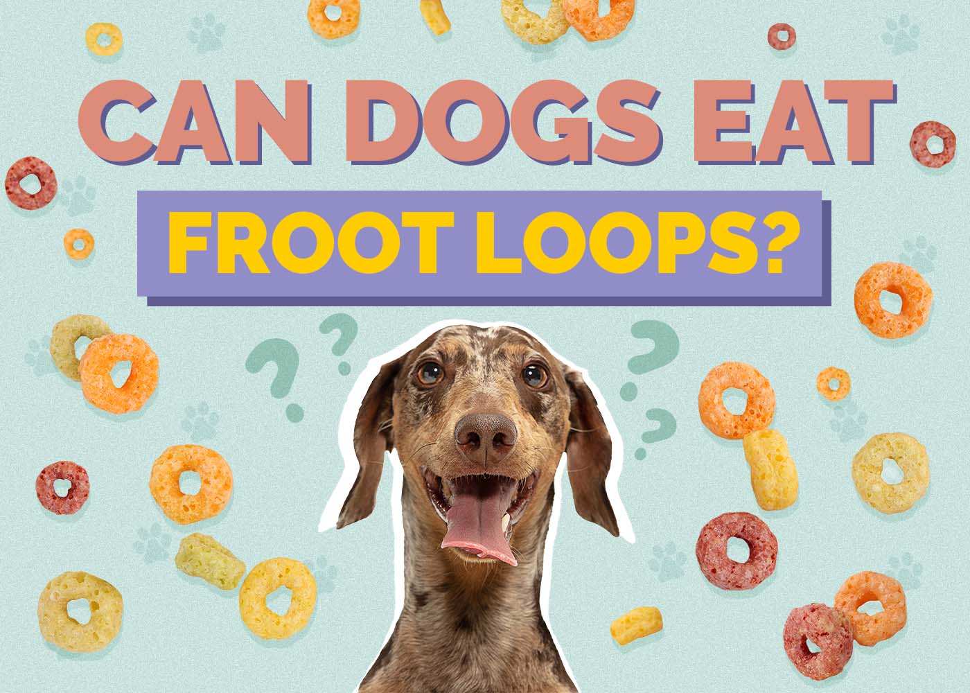 Can Dogs Eat Froot Loops? Vet Approved Facts & FAQ