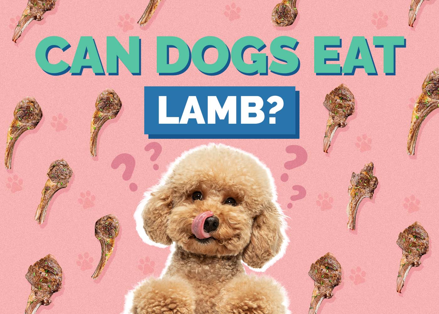 Can Dogs Eat Lamb? Vet-Verified Nutritional Information