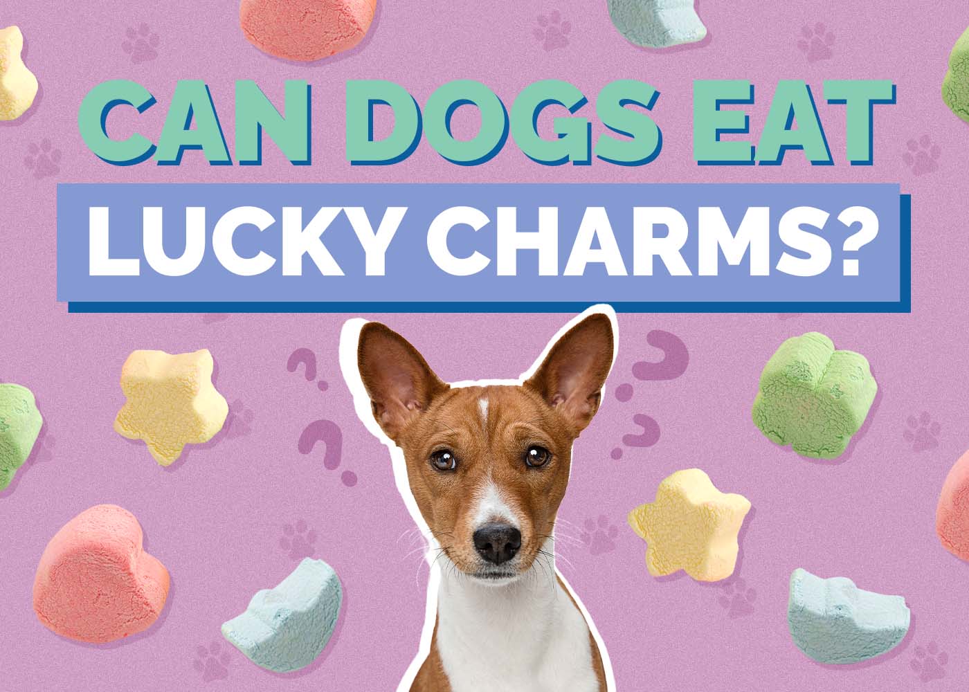 Can Dogs Eat Lucky Charms? Vet Reviewed Explanation