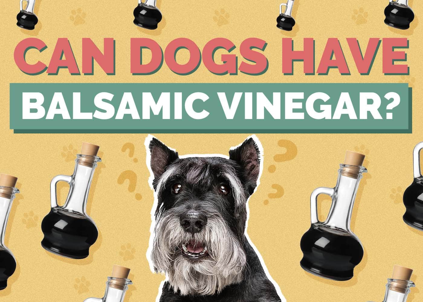 Can Dogs Have Balsamic Vinegar? Vet-Reviewed Facts & Safety Guide