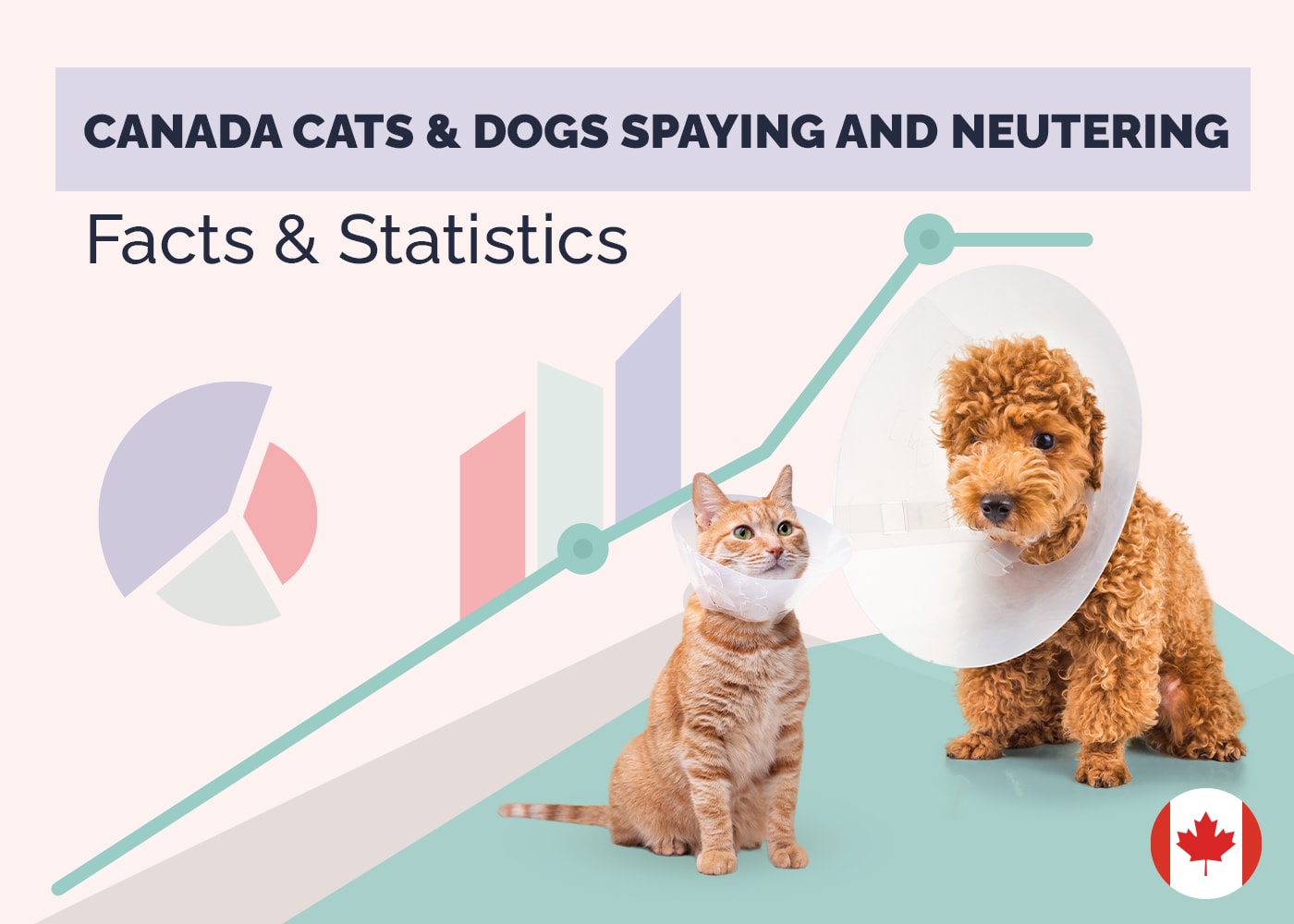 How Many Cats & Dogs are Spayed & Neutered in Canada? 9 Statistics Updated in 2026