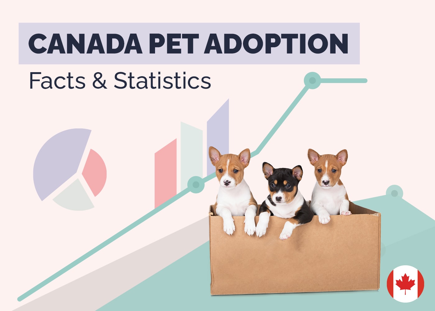 10 Surprising Canadian Pet Adoption Statistics & Facts (Updated in 2026)