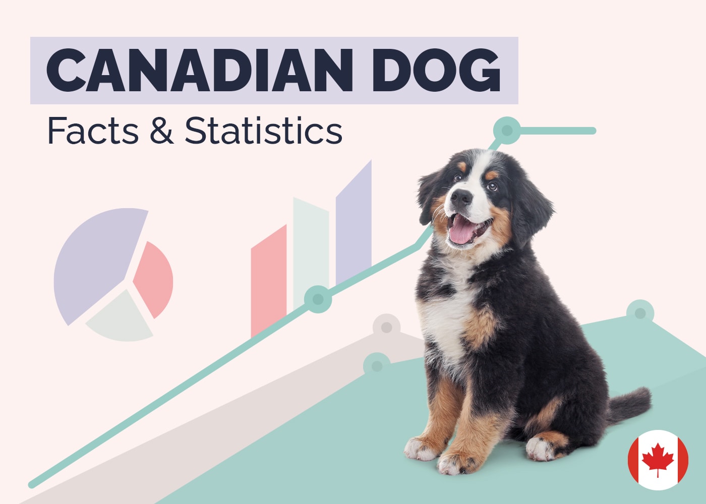 15 Incredible Canadian Dog Statistics & Facts: 2026 Update