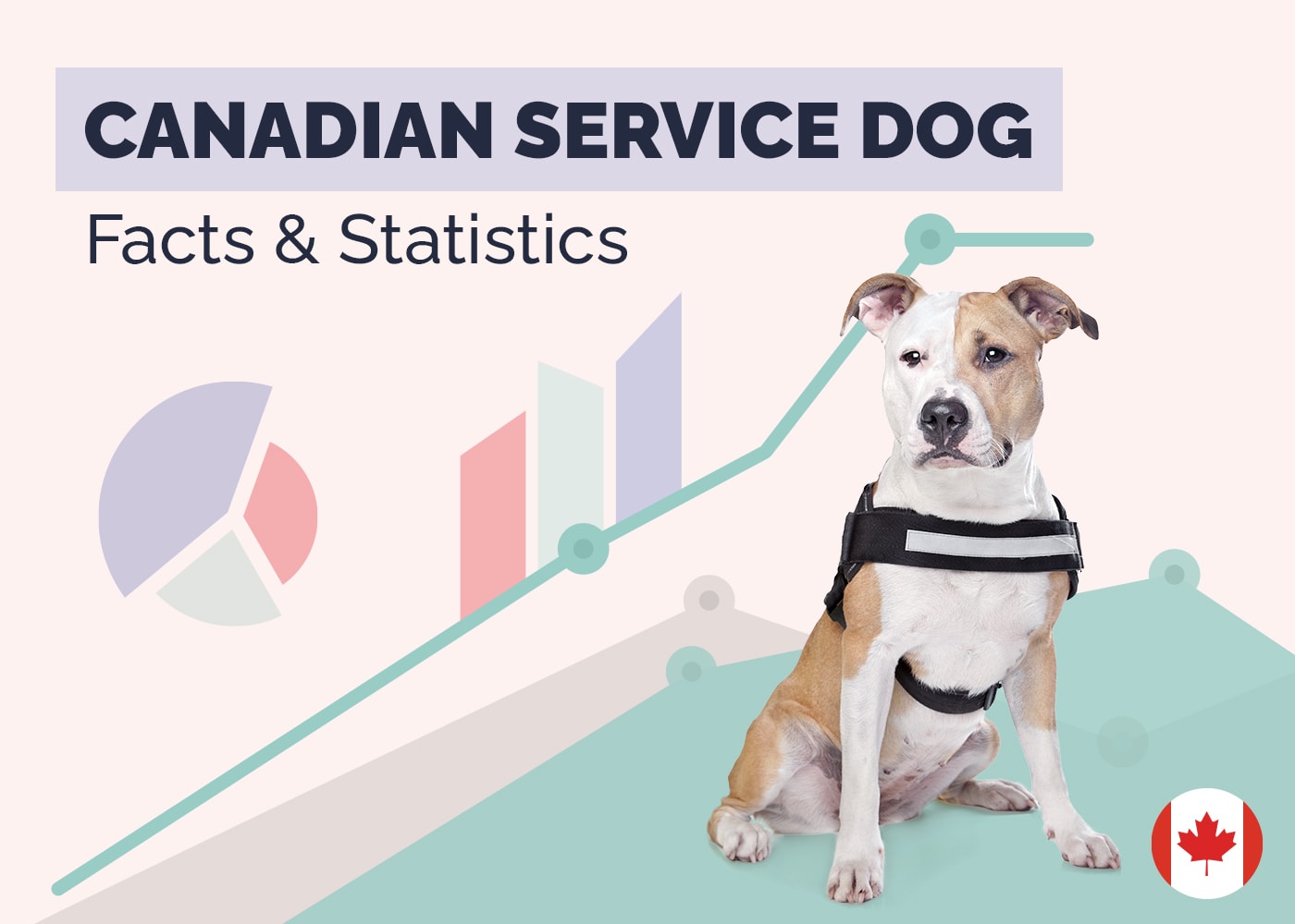 16 Incredible Canadian Service Dog Statistics & Facts: Updated in 2026