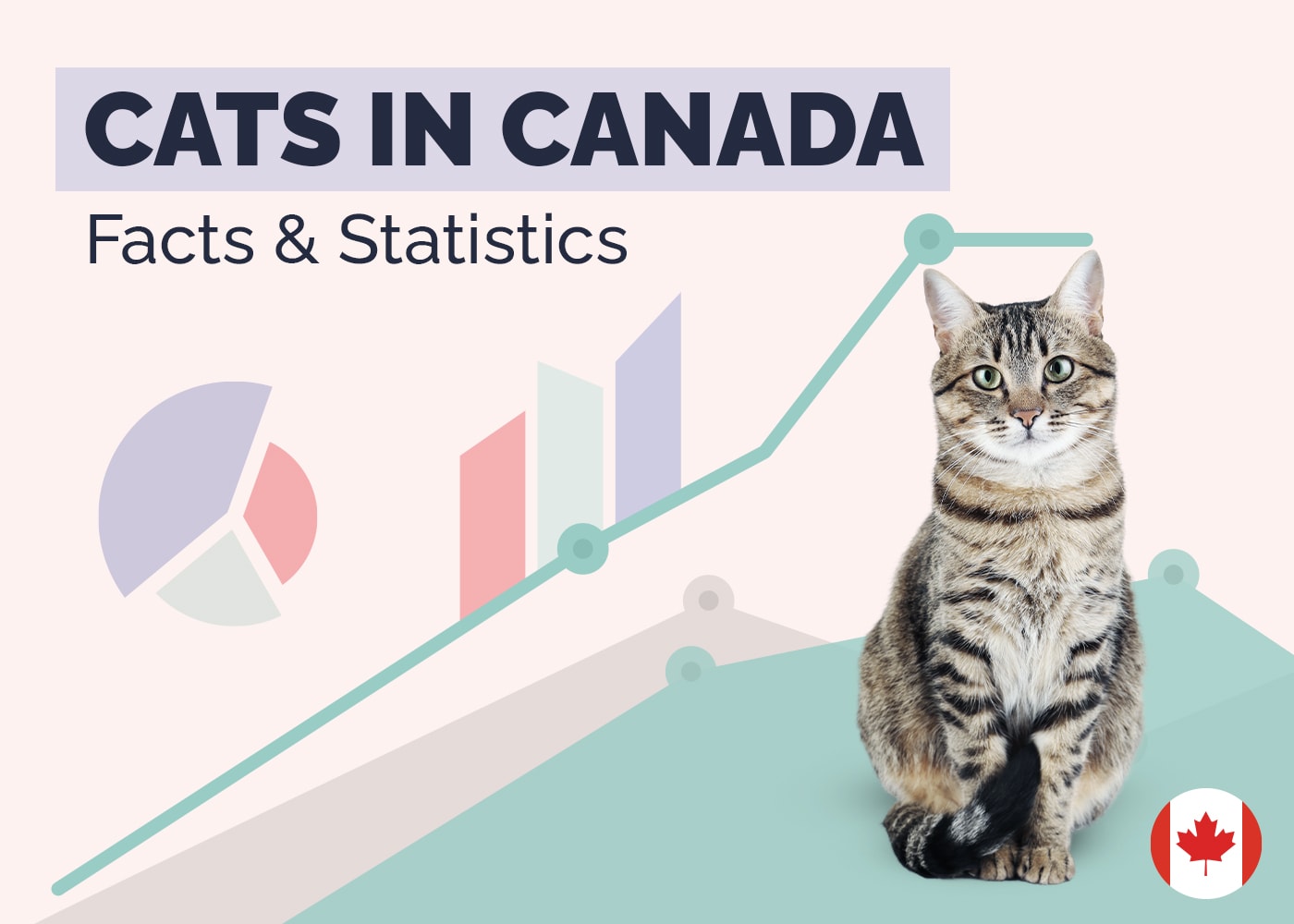 How Many Cats Are There in Canada? 11 Interesting Statistics: 2026 Update