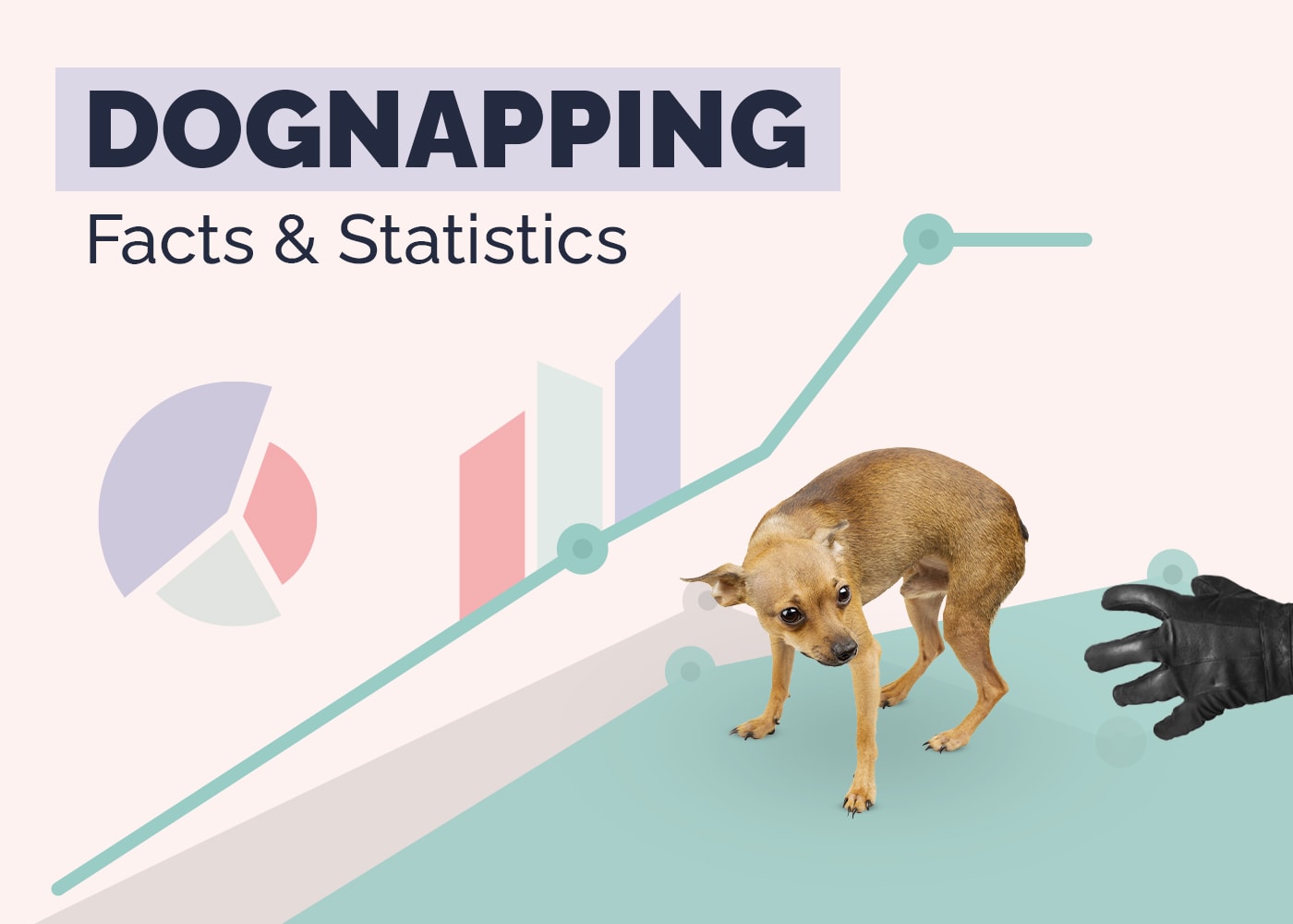 10 Shocking Dognapping & Dog Theft Statistics & Facts: 2026 Update