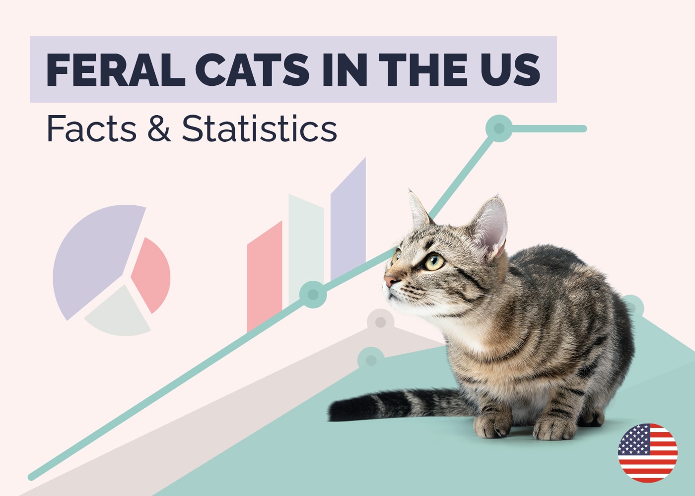 9 Surprising Feral Cats Statistics in the US (2026 Update)