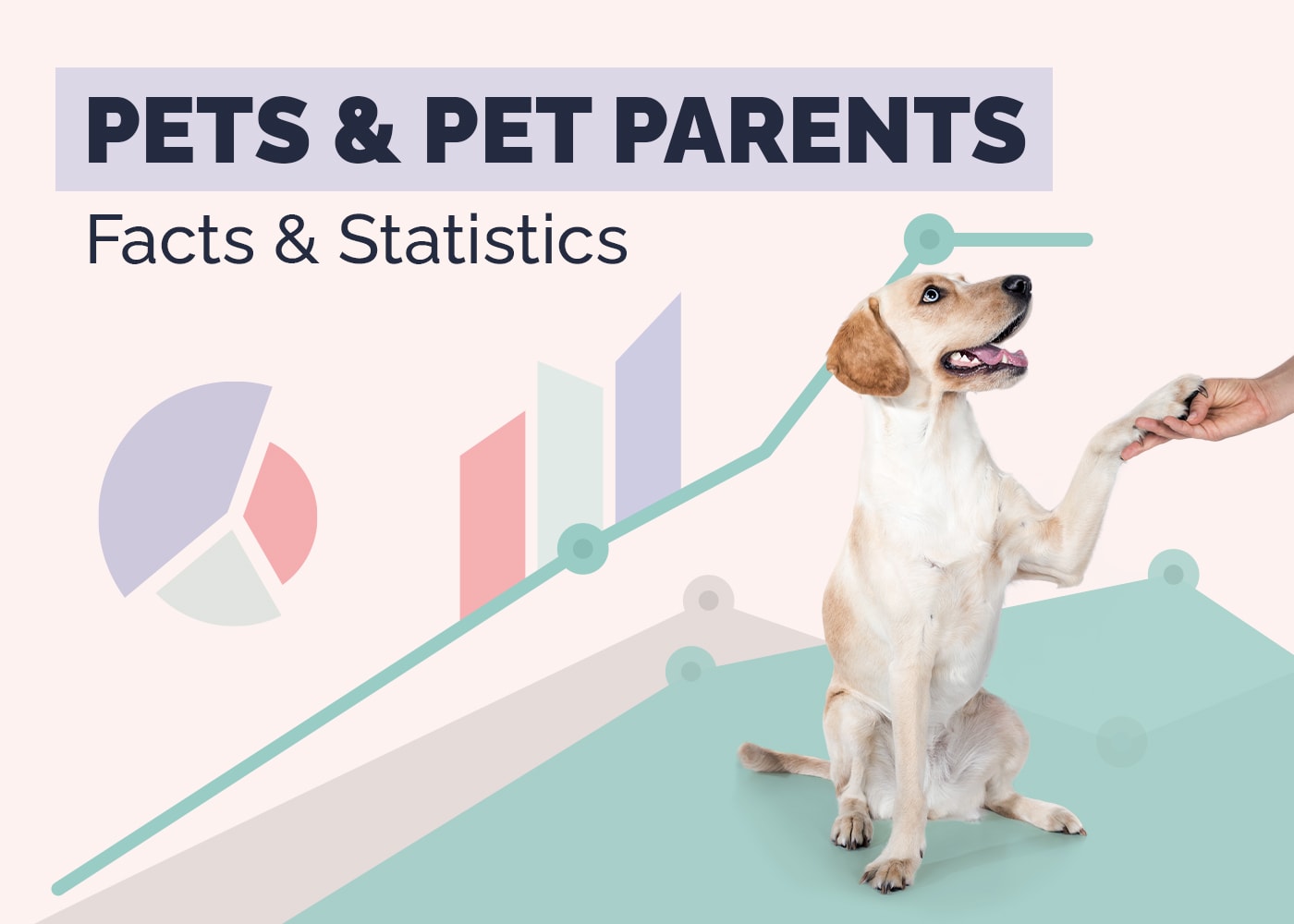 Pets & Pet Parents: In-Depth Survey on Jealousy, Playing Favorites & More