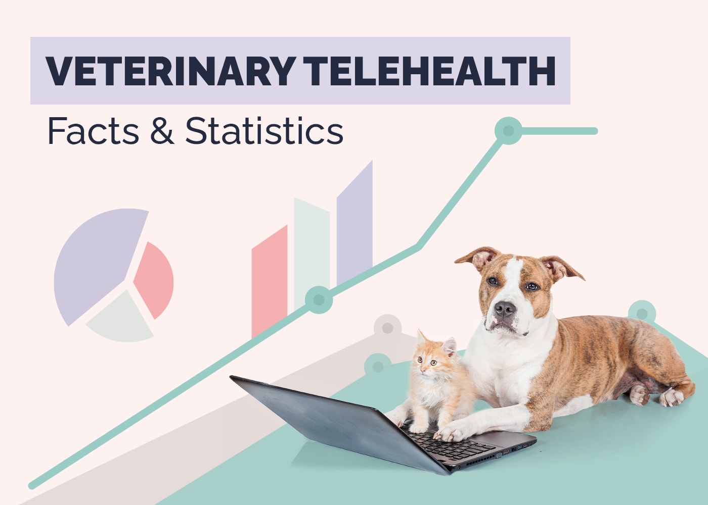 12 Veterinary Telehealth Statistics & Facts (Updated in 2026)