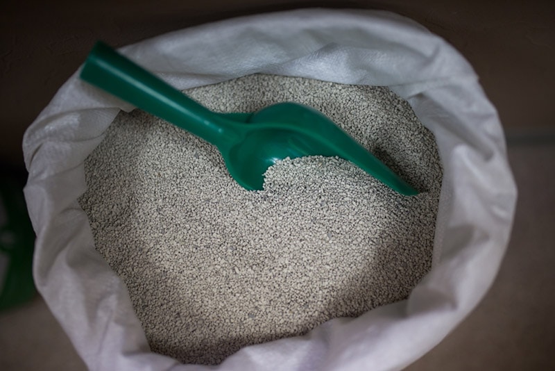 25 Surprising Uses for Cat Litter: Useful Tips & Tricks