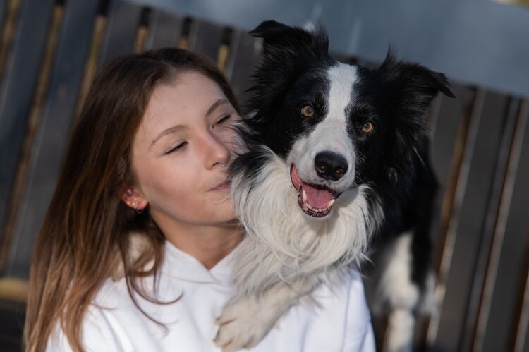 border-collie-hugs-owner-girl