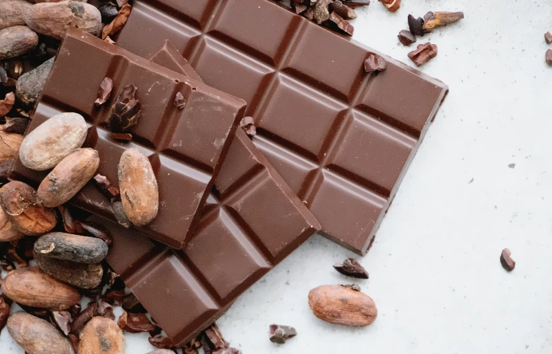cacao beans on chocolate bars