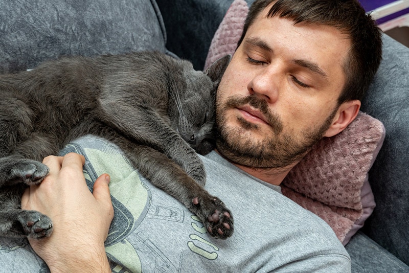 Why Does My Cat Sleep on My Head? 6 Reasons for This Behavior