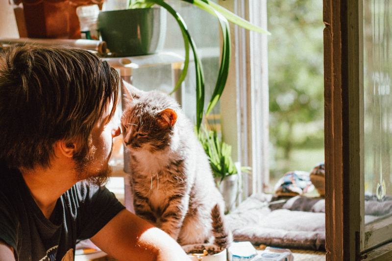 What Does Cat Nuzzling Mean? 5 Vet-Approved Reasons for This Behavior