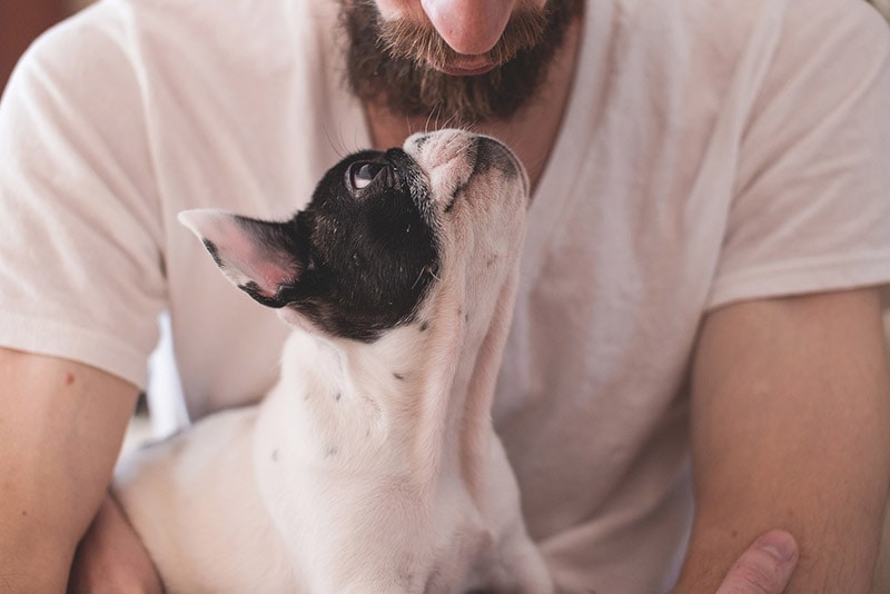 Do Dogs Know When You're Sad? Vet-Approved Facts