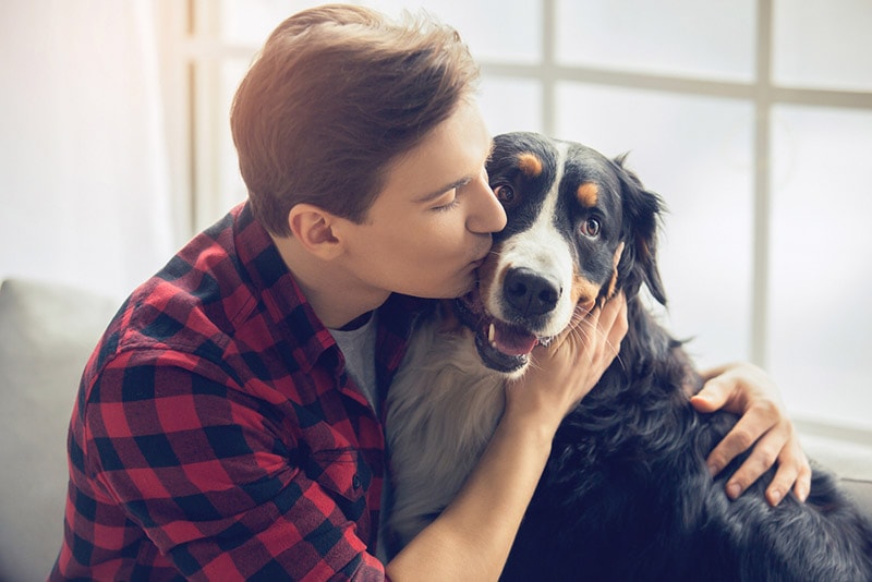 When Is International Animal Rights Day? 2026 Update & Ways to Celebrate