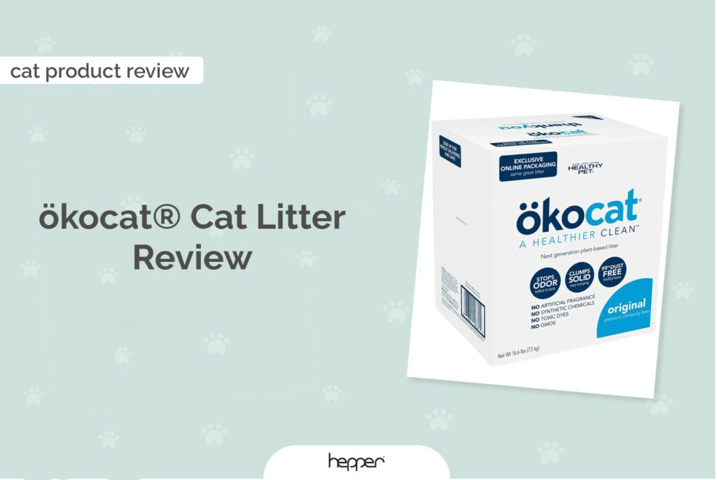 ökocat® Original Premium Clumping Wood Cat Litter Review 2026: An Expert Guide