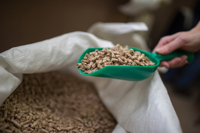 How Much Cat Litter Per Month Do I Need? A Beginner’s Guide