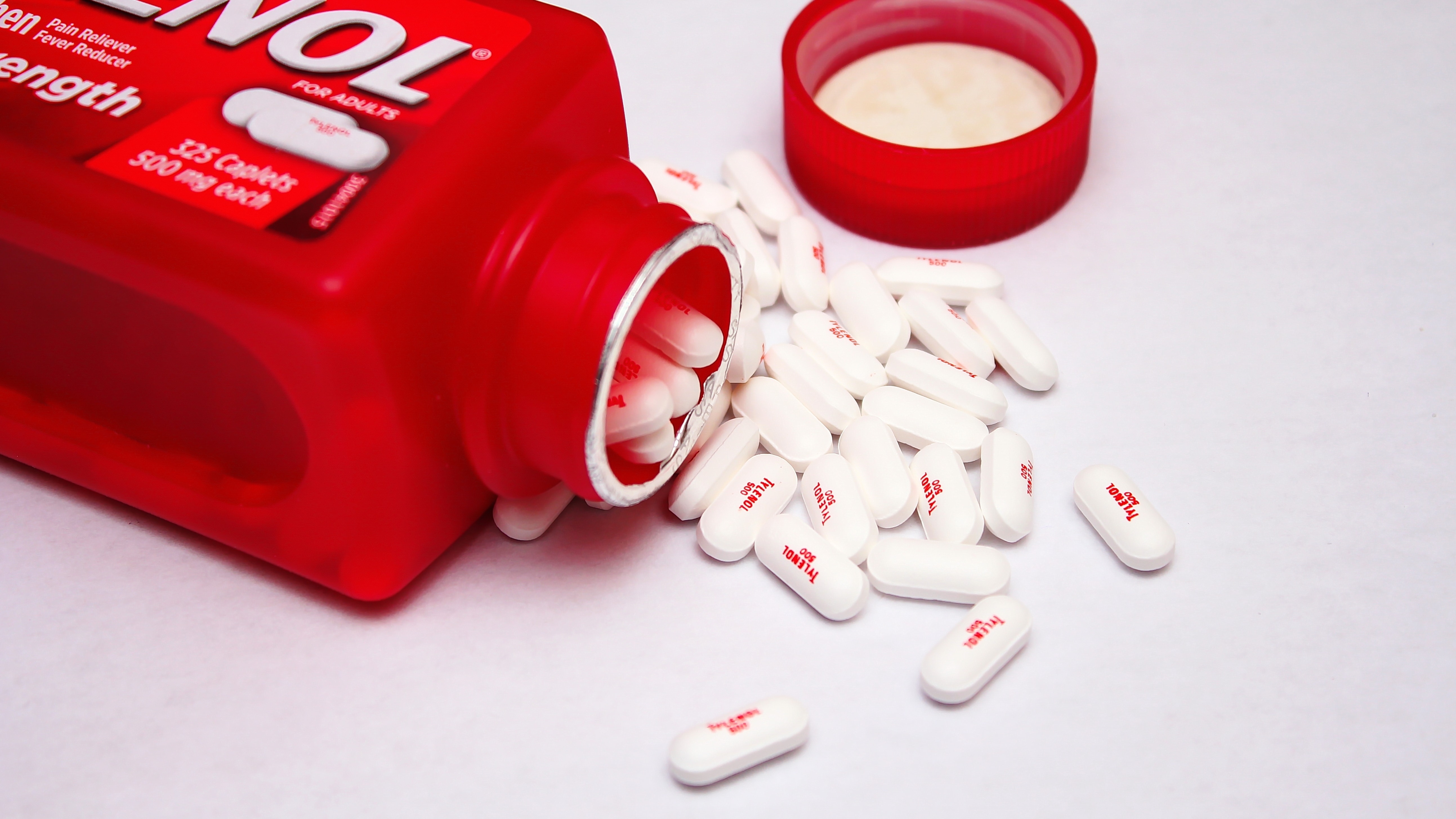 Is Tylenol (Acetaminophen) Bad for Dogs? Vet Reviewed Facts & FAQ