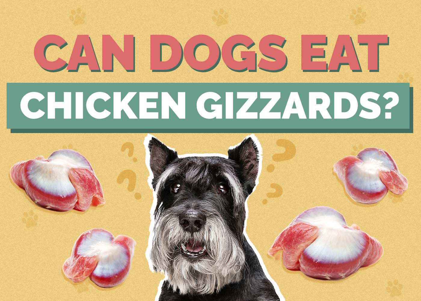 Can Dogs Eat Chicken Gizzards? Vet-Reviewed Nutrition Facts