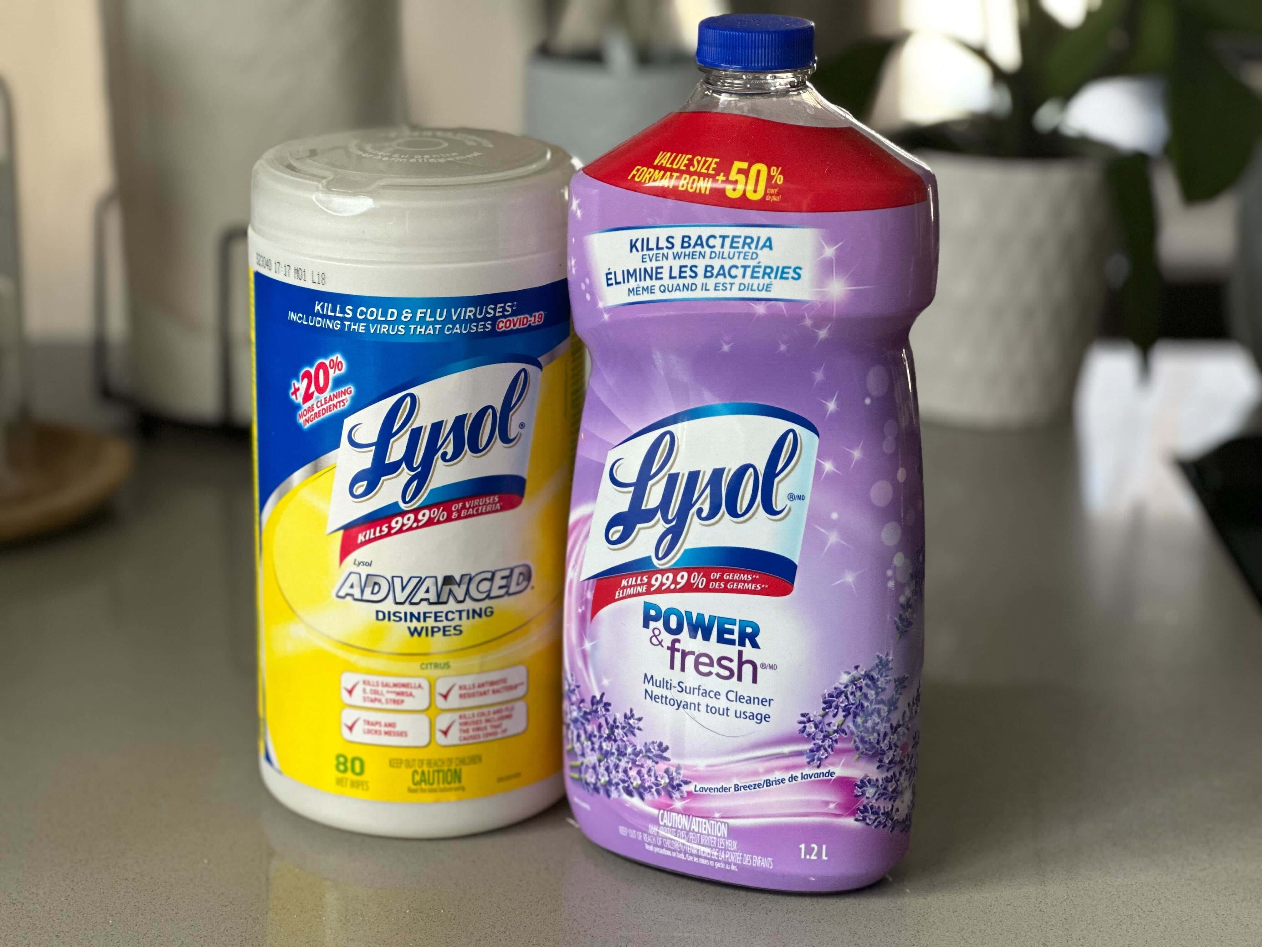 Does Lysol Kill Fleas? Vet Reviewed Safety & Effectiveness
