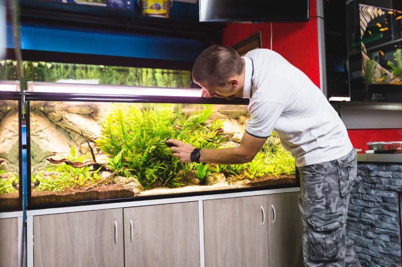 How Much Does a 55-Gallon Fish Tank Weigh (Vet-Verified Aquarium Size & Weight Guide)