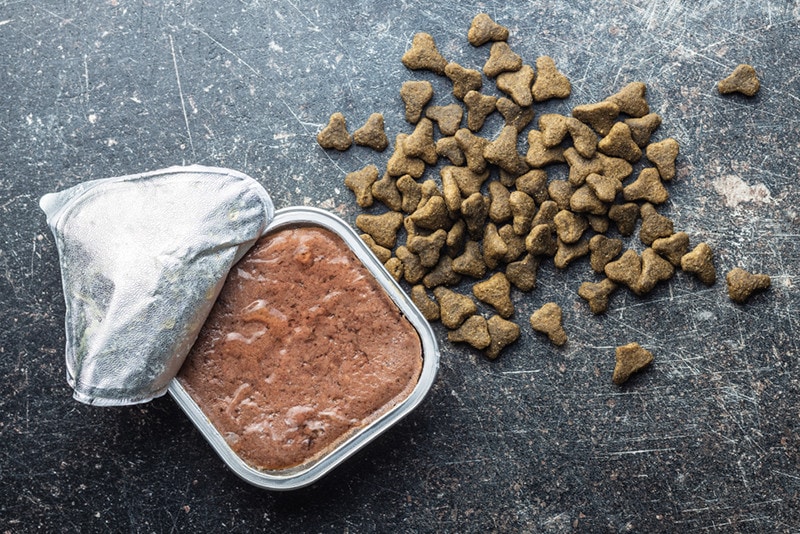 Wet and dry pet food. Cat or dog pate on old table. Top view