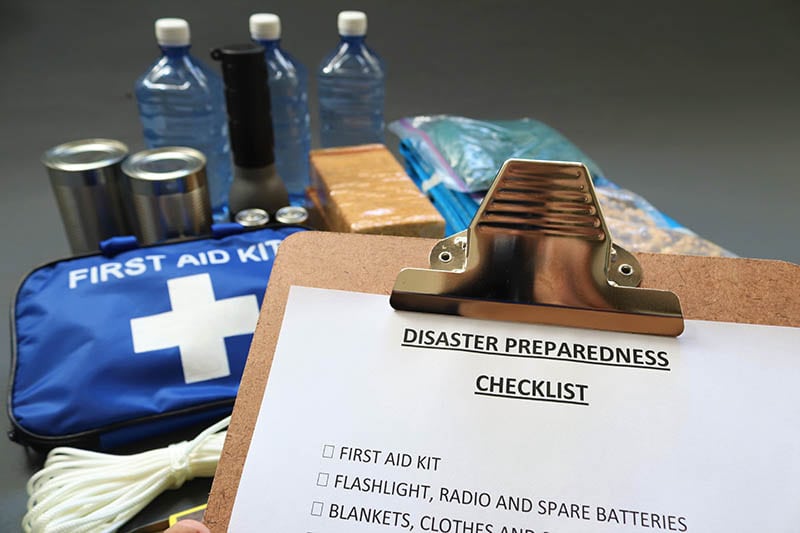 Disaster Preparedness for Pets: The Ultimate Vet-Approved Checklist