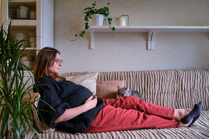 Why Cats Attack Pregnant Women: 5 Vet-Verified Reasons & What to Do About It